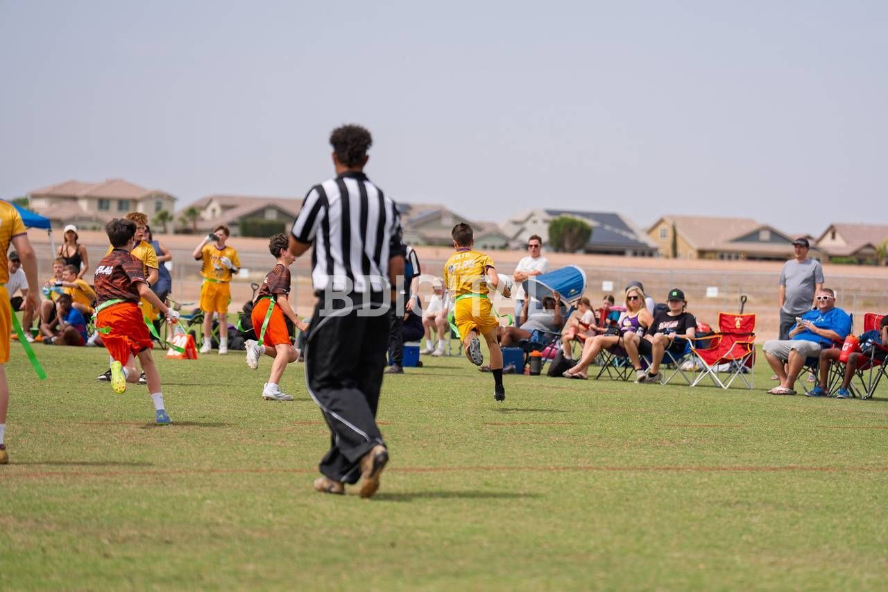 photo-019