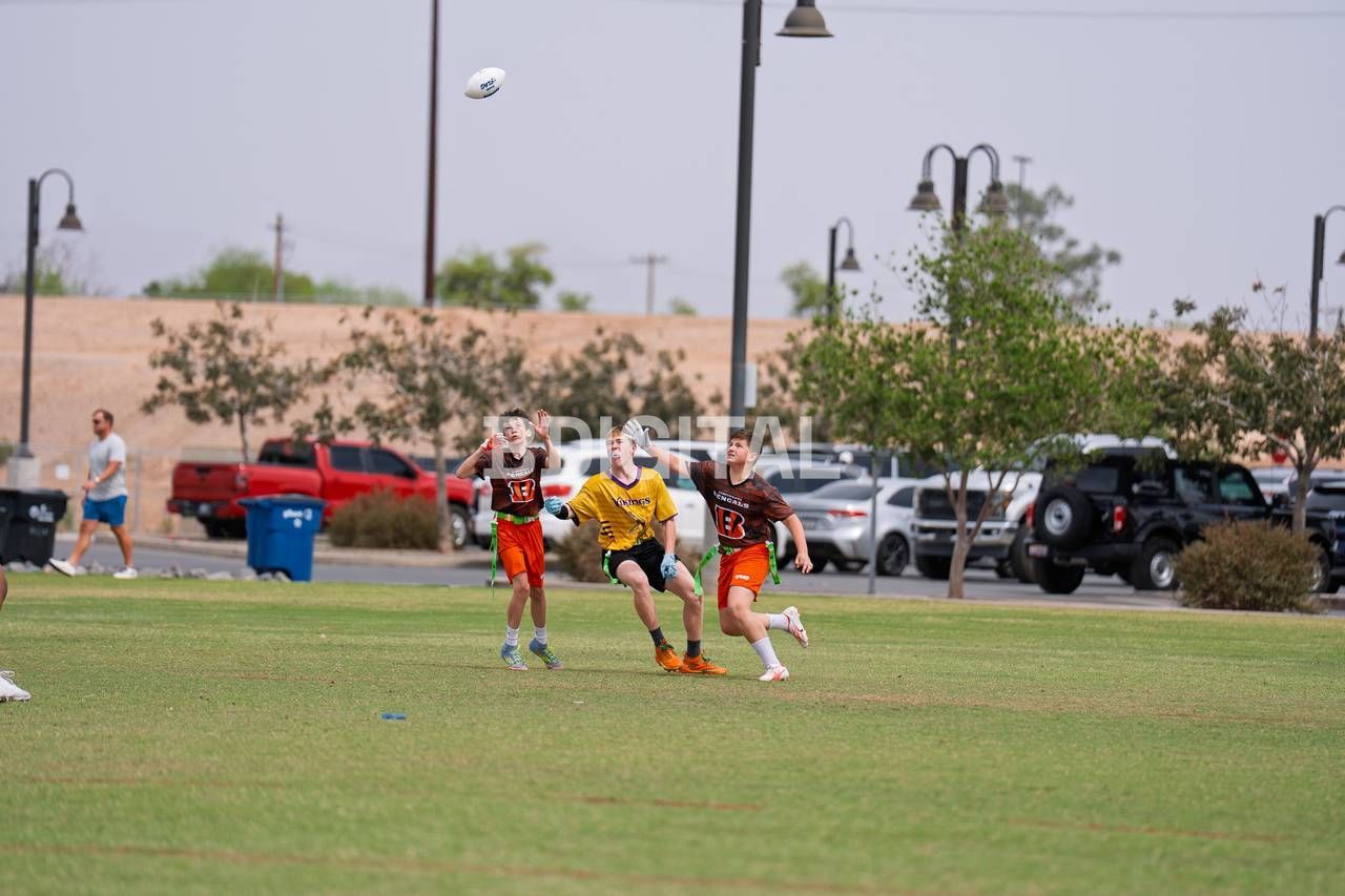photo-046