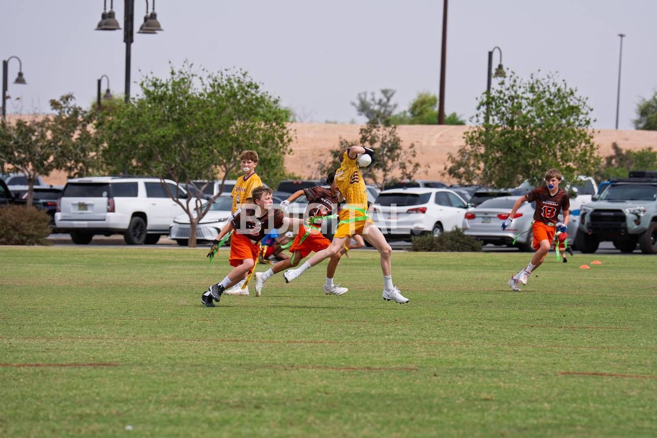 photo-061