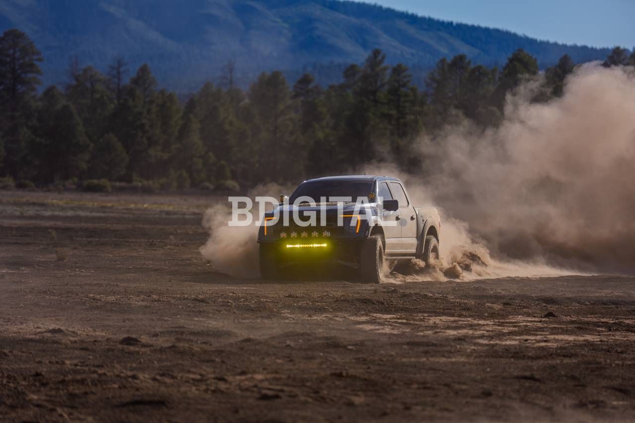 Photo photo-036 from Cinders Pt. 2