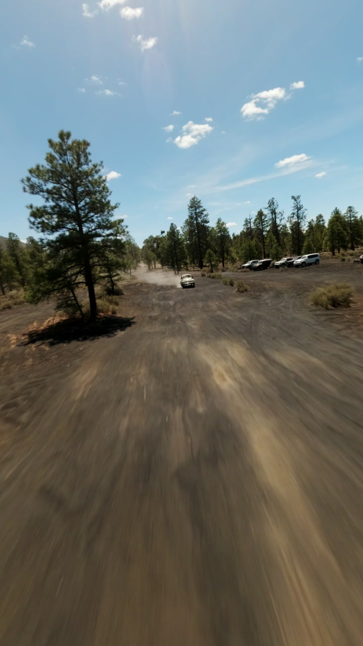 Clip clip-004